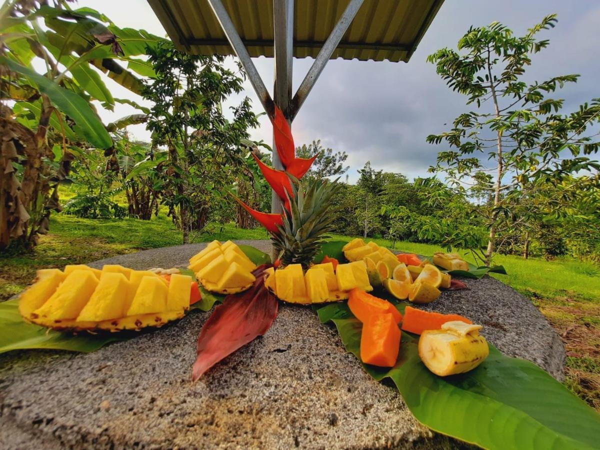 Cabanas Montanas Del Tenorio Rio Celeste ภายนอก รูปภาพ