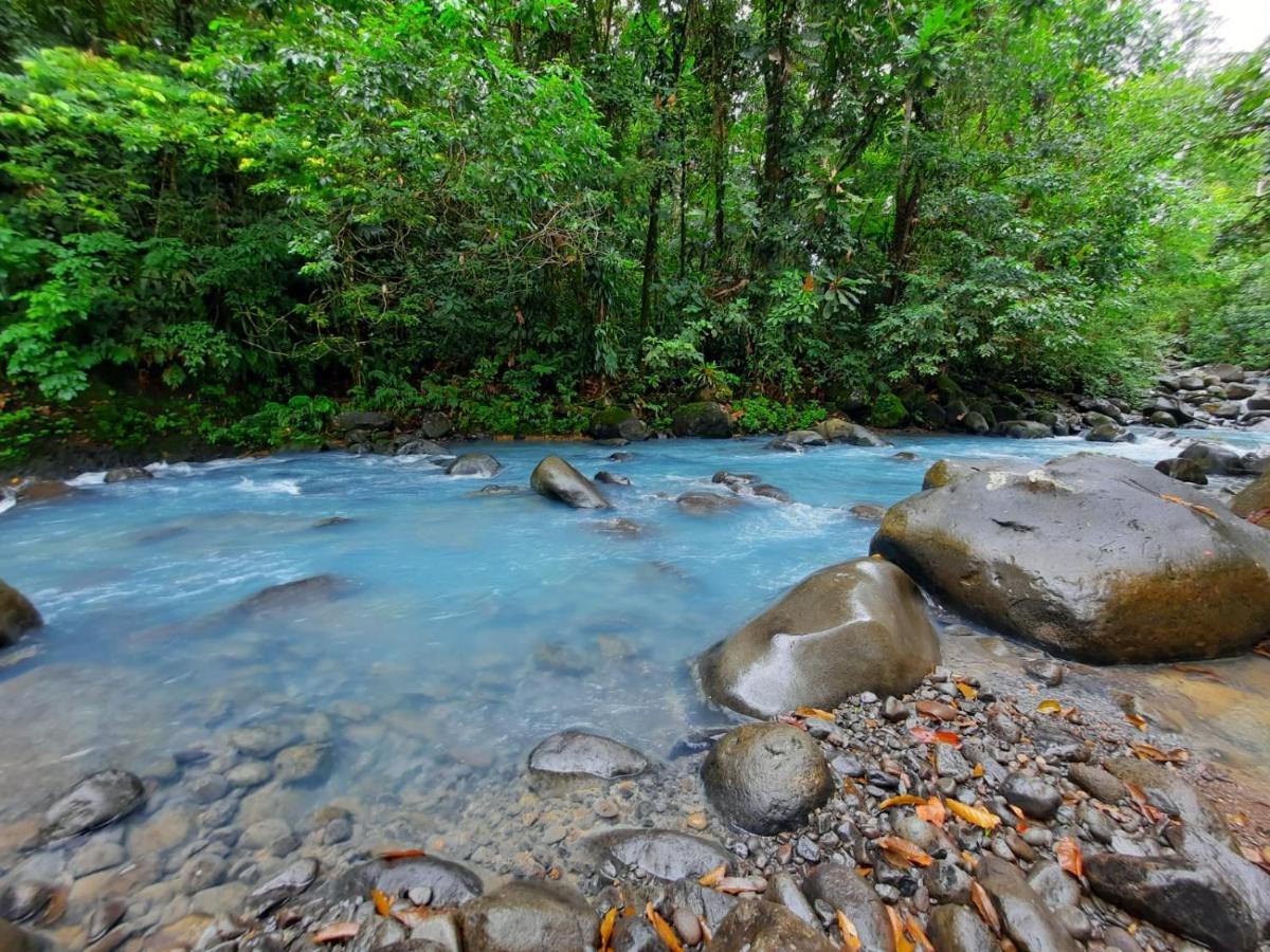 Cabanas Montanas Del Tenorio Rio Celeste ภายนอก รูปภาพ