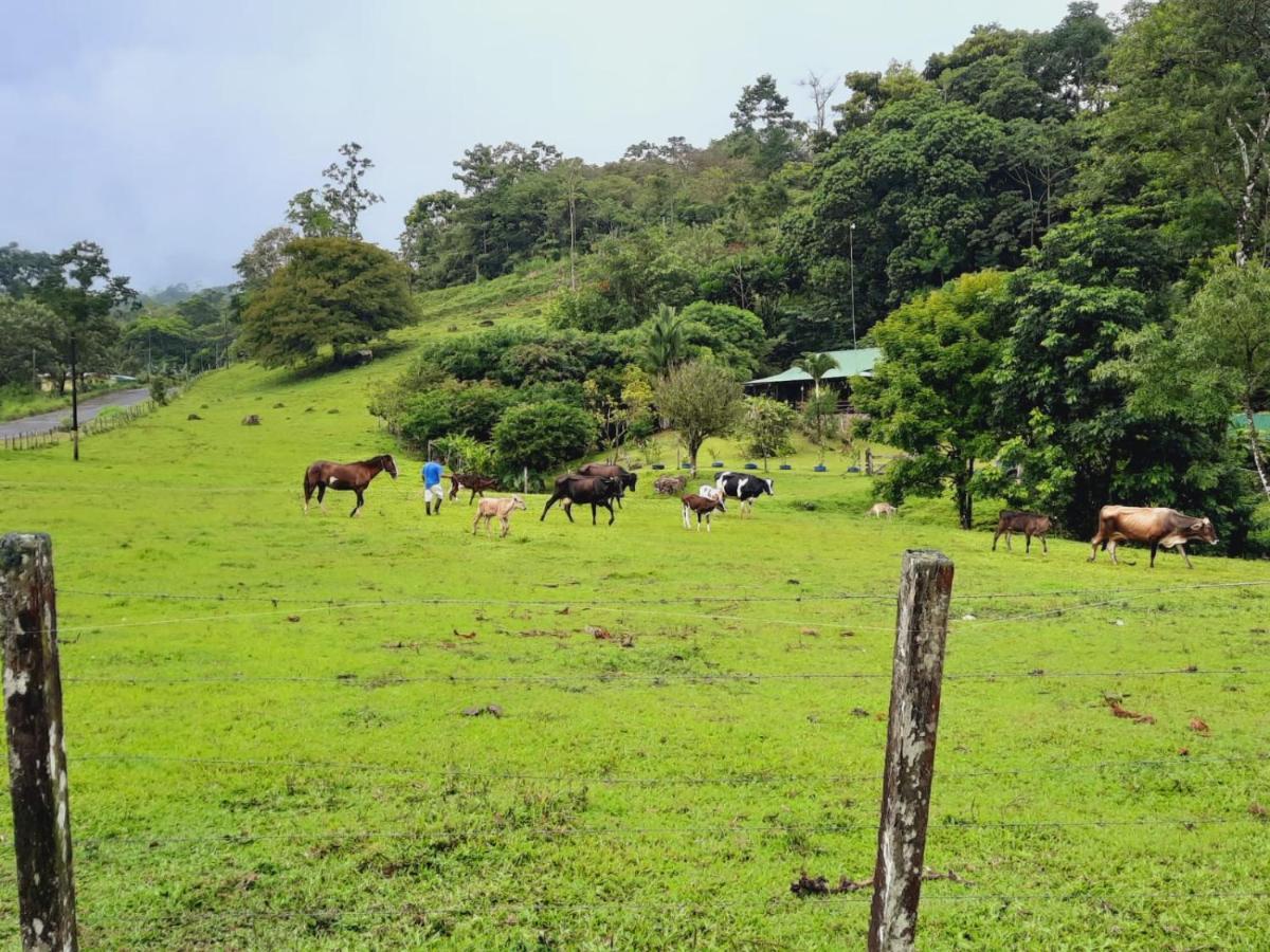 Cabanas Montanas Del Tenorio Rio Celeste ภายนอก รูปภาพ