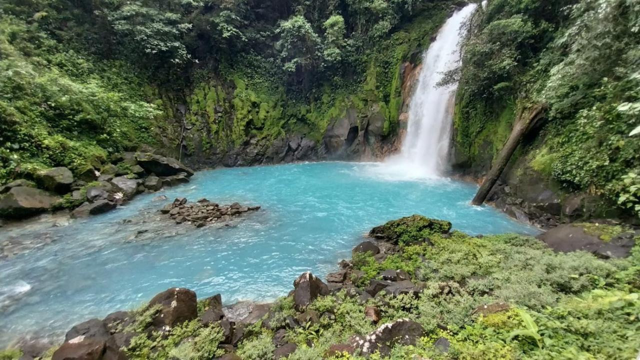 Cabanas Montanas Del Tenorio Rio Celeste ภายนอก รูปภาพ